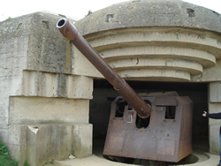 defenses